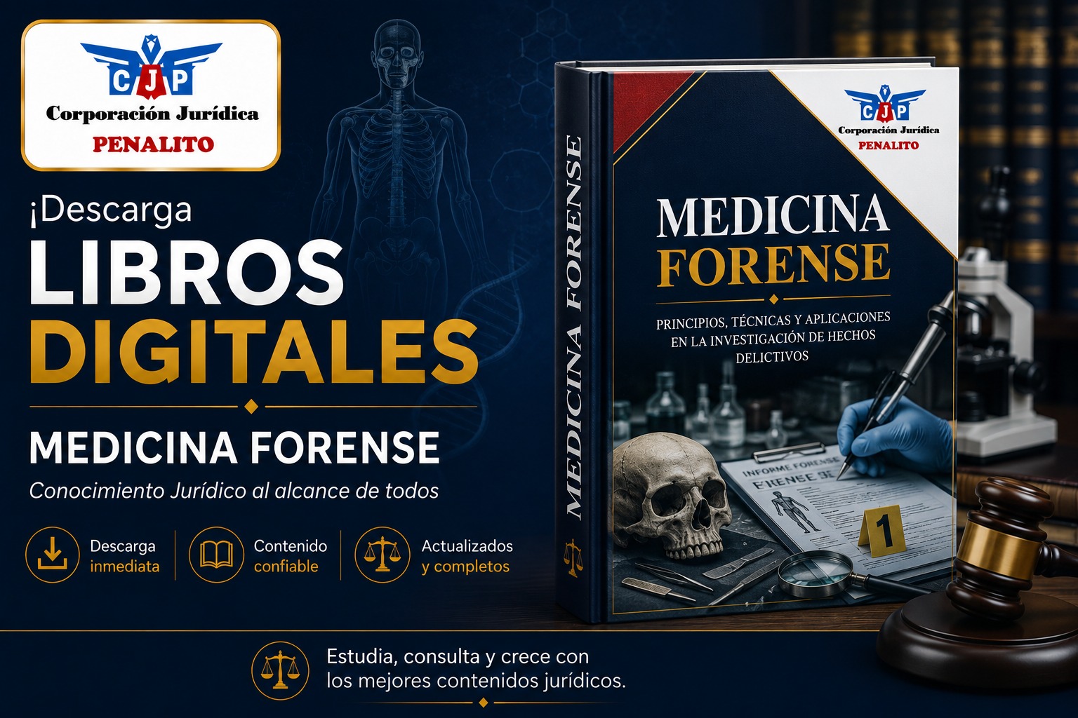 Libro Derecho Procesal Penal